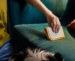 Online Outil Pour enlever Les Poils D'Animaux 3-en-1 en Silicone Cleantech™ Accessoires & Outils Pour Ménage Maison